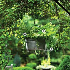 a potted plant hanging from a tree in the middle of a garden with numbers on it