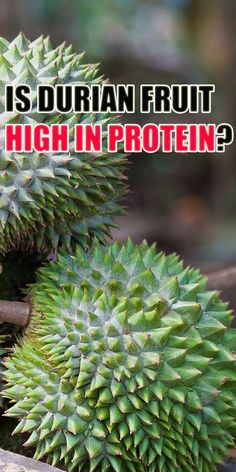 there is a bunch of fruit on the ground with words above it that says, what is durian fruit high in protein?