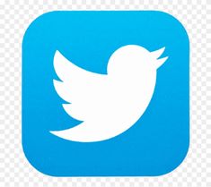 the twitter logo is blue and white, with an image of a bird on it