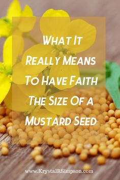 Mustard seed faith Bible Verse About Mustard Seed, Muster Seed Faith, The Mustard Seed Parable Craft, Faith Like A Mustard Seed Craft, Faith The Size Of A Mustard Seed, Mustard Seed Craft, Faith Of Mustard Seed