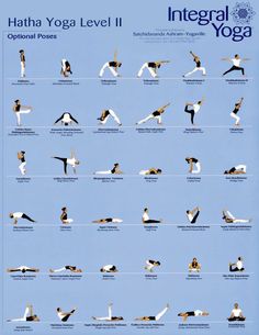 an image of a yoga poster with instructions for the different poses and body parts on it