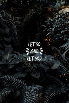 the words let go and let god written in white on a background of black leaves