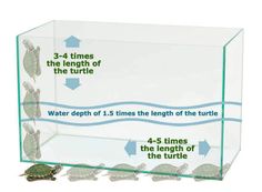 an aquarium with turtles in it and instructions on how to use the turtle water tank