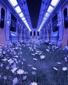 the interior of a train with flowers growing on the floor and in the middle of it