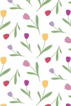 colorful tulips and leaves on a white background