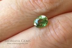 split Vivid Green Demantoid Garnet from Russia. Oval Cut. 1.30 ct. Stunning green hue and brilliance. Demantoid Garnet is the green variety of Andradite Garnet. This green gemstone is rare and valuable. It is perfect both for collectors and for your custom jewelry. Garnet is the official Birthstone for those born in January, the zodiacal stone of Aquarius and the gem that is usually gifted for second wedding anniversaries. The powers attributed to garnet are very varied. They bring peace, prospe Gia Certified Oval Green Gemstones, Gia Certified Round Green Gemstones, Gia Certified Green Round Cut Gemstones, Andradite Garnet, Mali Garnet, Born In January, Second Wedding Anniversary, Second Wedding, Demantoid Garnet