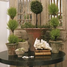 several potted plants and books on a table in front of an old wooden door