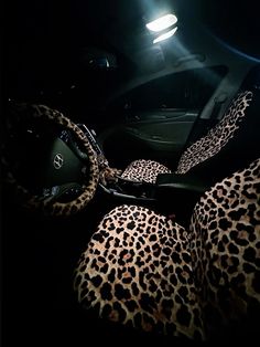 leopard print car seat covers in the dark