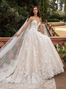 Pronovias Wedding Dress Pronovias: Elcira Wedding Dresses Ball Gown Sweetheart, A Line Wedding Dress Sweetheart, Pronovias Bridal, Wedding Dresses Sweetheart Neckline, Sweetheart Wedding Dress, Princess Wedding Dress, Lace Bridal Gown, A Wedding Dress, Formal Dresses For Weddings