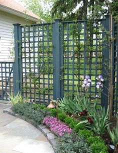 a garden with flowers and plants in front of a green trellis fence on the side of a house