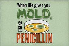 a poster with the words when life gives you mold, make penicillini