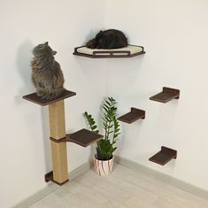 a cat sitting on top of a scratching post next to a plant in a pot