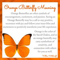 an orange butterfly with the words orange butterfly meaning on it's back and side