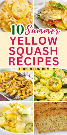 the top ten summer yellow squash recipes