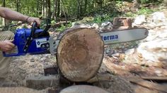 a man using a chainsaw to cut down a tree