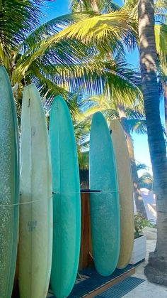 several surfboards are lined up next to each other in front of some palm trees