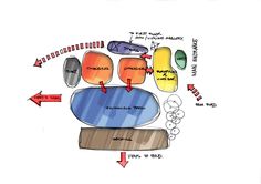 a diagram of the inside of an animal's body and its functions in it