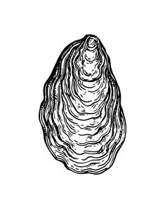 a black and white drawing of a shell on a white background with the wording below it