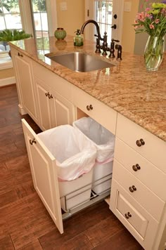 a kitchen with two trash cans in the middle of the cabinet and an open sink