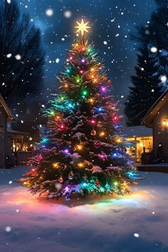 a brightly lit christmas tree in the snow