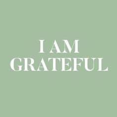 the words i am grateful in white on a light green background with an image of a cat