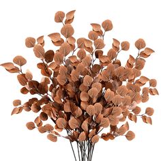 a vase filled with lots of brown leaves on top of a table next to a white wall