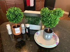 two potted plants sitting on top of a kitchen counter next to bottles and containers