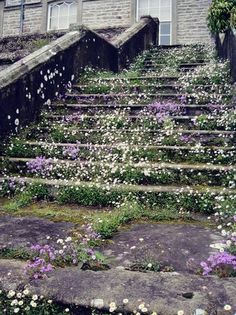 an old stone building with flowers growing on the steps