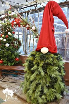 an elf's hat is on top of a christmas tree in a room with other decorations