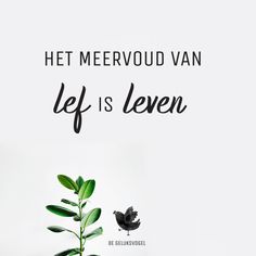 there is a plant with leaves on it and the words, het merervoud van left is seven