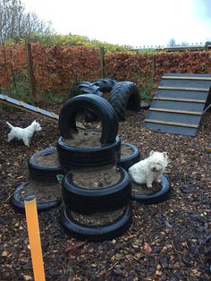 there are many tires stacked on top of each other in the yard with two dogs