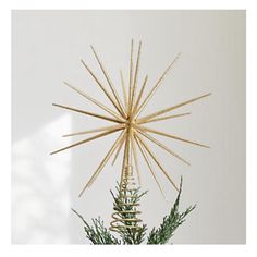 a star ornament on top of a pine tree with needles in the center