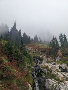 a small waterfall in the middle of a forest filled with rocks and trees on a foggy day