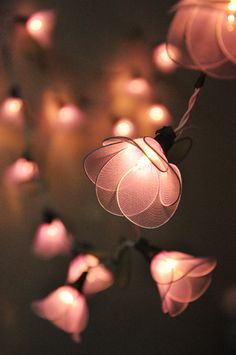 a string of lights hanging from the ceiling in front of a wall with flowers on it