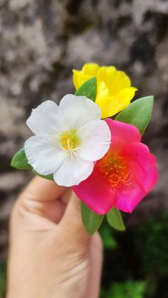 a person holding two flowers in their hand, one is pink and the other is yellow