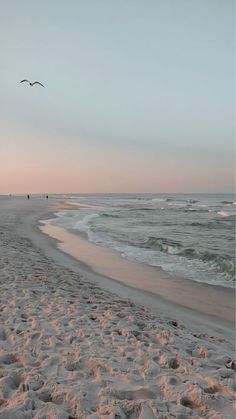 two birds flying over the ocean on a sandy beach at sunset with waves coming in