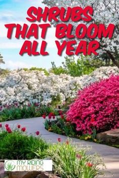 the words shrubs that bloom all year are in front of flowers and trees