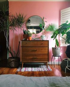 a bedroom with pink walls and lots of plants on top of the dresser in front of it