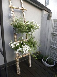 Beste Duftgeranien fur Balkon und WohnungRichtig pflanzenpflegen und vermehrenGeranien sind klassische BalkonblumenDuftgeranien findet man seltener auf dem BalkonSie blühen nicht üppighaben... Garden Ladder, Garden Planter Boxes, Garden Whimsy, Garden Art Sculptures