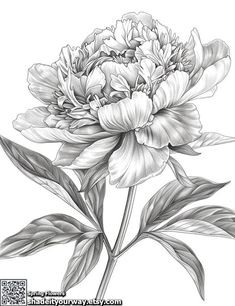 a black and white drawing of a flower