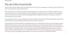 Brain Development, Brain Fog, Brain Health, Nervous System, Problem Solving, Psychology