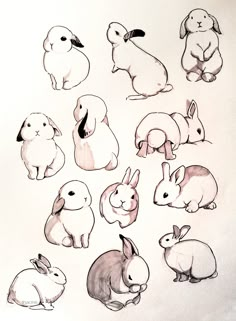 an image of rabbits drawn in pencil on paper