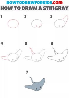 how to draw a sting ray step by step instructions for kids and adults in easy steps