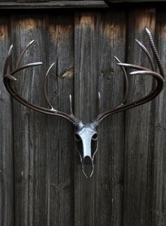 a deer's head mounted to the side of a wooden fence