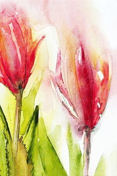 watercolor painting of two red flowers with green leaves