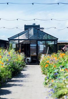 a house with flowers in the foreground and a walkway leading up to it on a sunny day