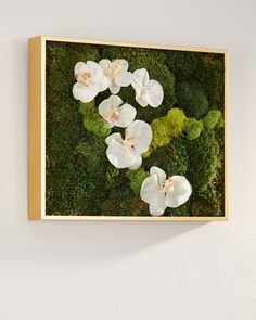 an arrangement of white flowers and green moss in a wooden frame on the wall above it