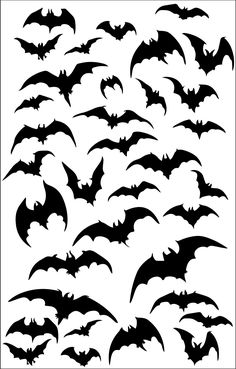 the silhouettes of bats in different shapes and sizes, all black on white background