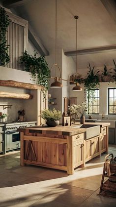 a kitchen filled with lots of wooden furniture and potted plants on top of it