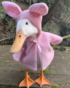 a stuffed duck wearing a pink outfit